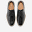 COLE HAAN MORSE GRAND WINGTIP OXFORDS (more colors